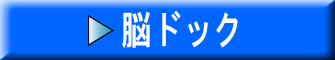 脳ドック詳細