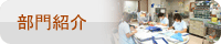 部門紹介