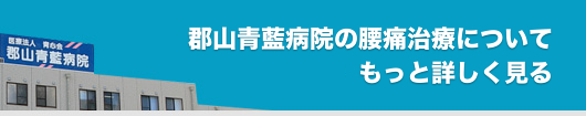 郡山青藍病院の腰痛治療についてもっと詳しく見る