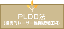 PLDD法(経皮的レーザー椎間板減圧術)
